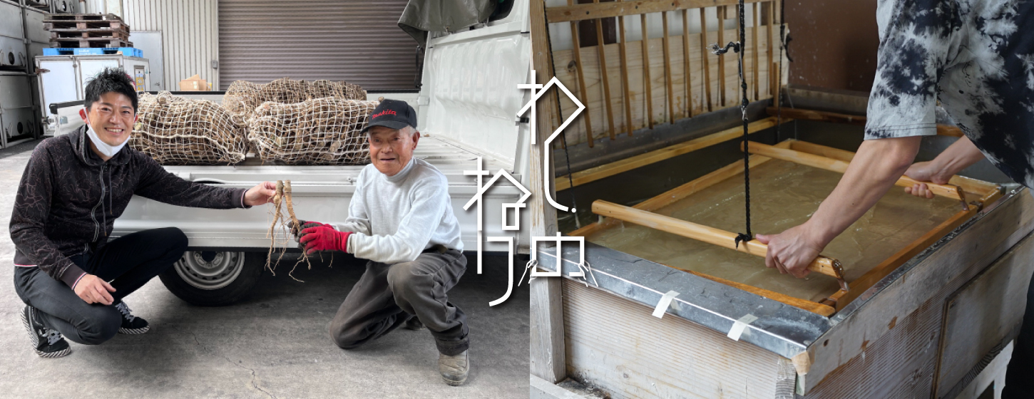 生産不足の手漉き和紙の原料“ねり（トロロアオイ）”
みんなで育てて和紙再興！